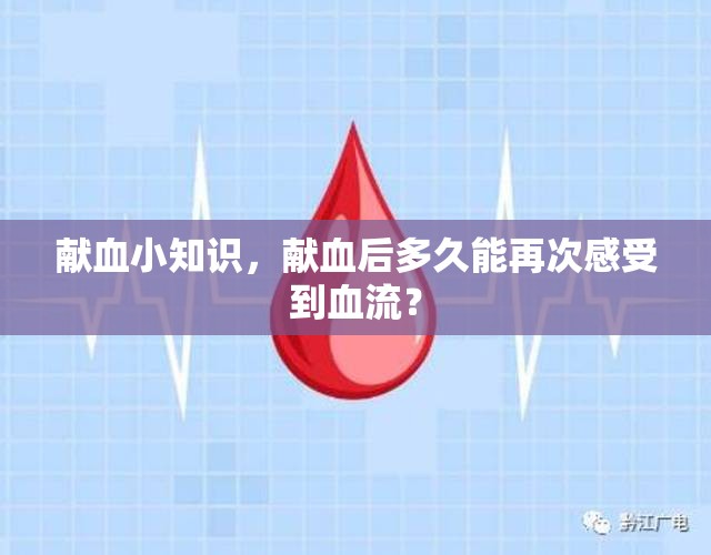 獻(xiàn)血小知識(shí)，獻(xiàn)血后多久能再次感受到血流？