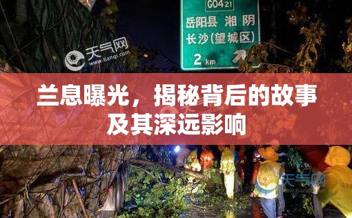 蘭息曝光，揭秘背后的故事及其深遠(yuǎn)影響