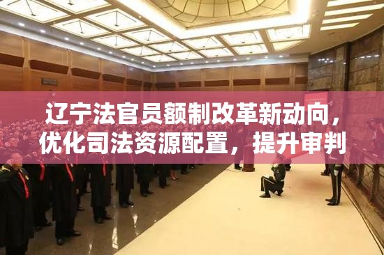 遼寧法官員額制改革新動向，優(yōu)化司法資源配置，提升審判質(zhì)效的最新探索