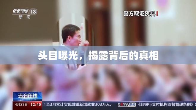 頭目曝光，揭露背后的真相
