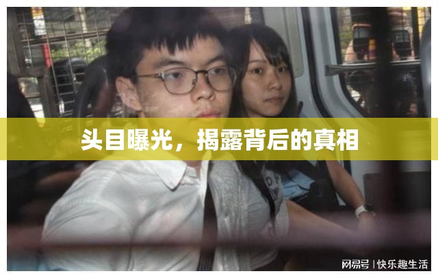 頭目曝光，揭露背后的真相