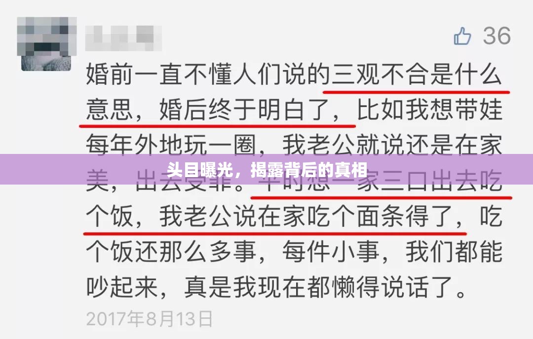 頭目曝光，揭露背后的真相
