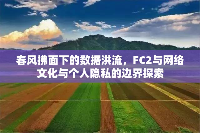 春風(fēng)拂面下的數(shù)據(jù)洪流，F(xiàn)C2與網(wǎng)絡(luò)文化與個(gè)人隱私的邊界探索