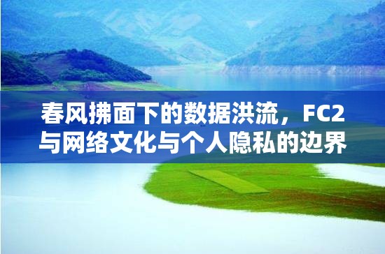 春風(fēng)拂面下的數(shù)據(jù)洪流，F(xiàn)C2與網(wǎng)絡(luò)文化與個(gè)人隱私的邊界探索