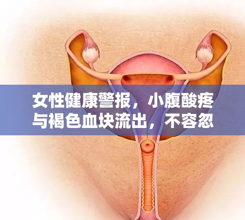 女性健康警報(bào)，小腹酸疼與褐色血塊流出，不容忽視的信號(hào)