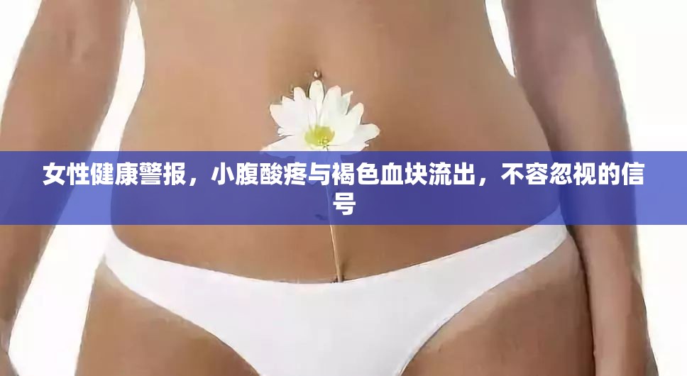 女性健康警報(bào)，小腹酸疼與褐色血塊流出，不容忽視的信號(hào)