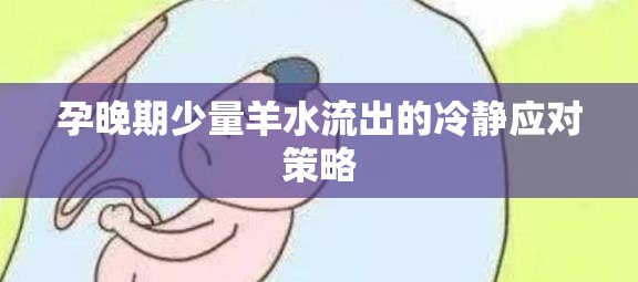 孕晚期少量羊水流出的冷靜應(yīng)對(duì)策略