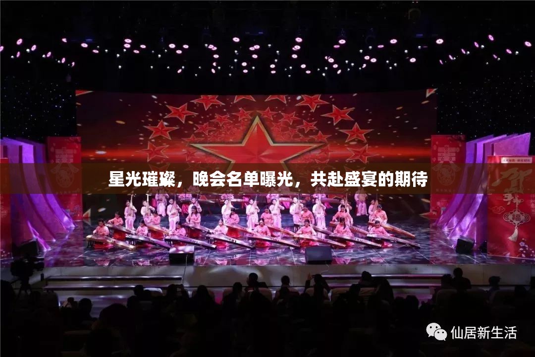 星光璀璨，晚會(huì)名單曝光，共赴盛宴的期待