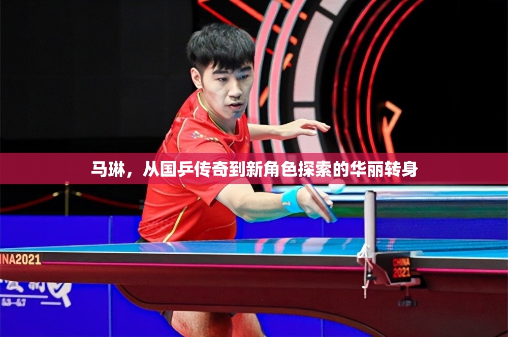 馬琳，從國乒傳奇到新角色探索的華麗轉(zhuǎn)身