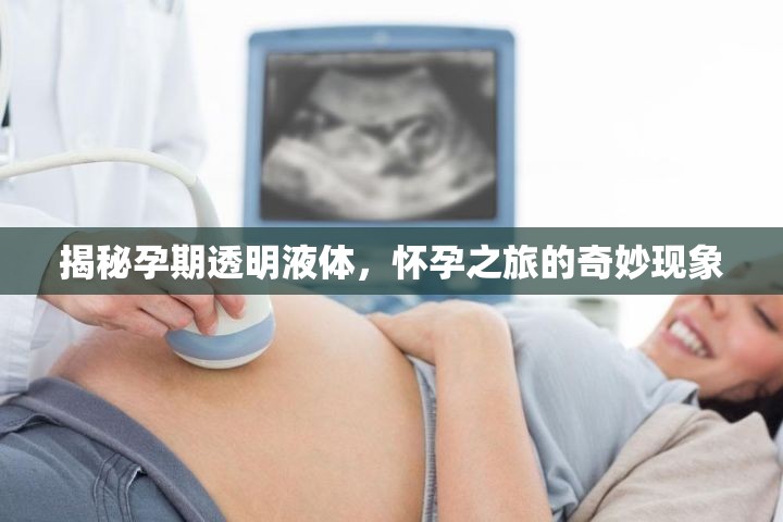 揭秘孕期透明液體，懷孕之旅的奇妙現(xiàn)象