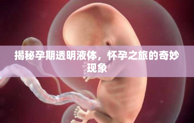 揭秘孕期透明液體，懷孕之旅的奇妙現(xiàn)象