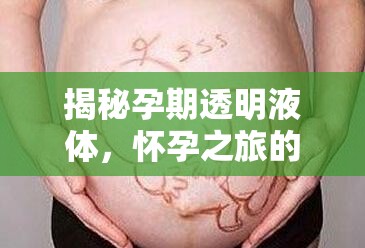 揭秘孕期透明液體，懷孕之旅的奇妙現(xiàn)象