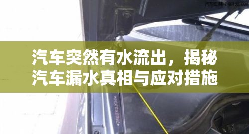 汽車突然有水流出，揭秘汽車漏水真相與應(yīng)對(duì)措施