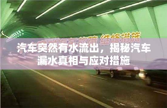 汽車突然有水流出，揭秘汽車漏水真相與應(yīng)對(duì)措施