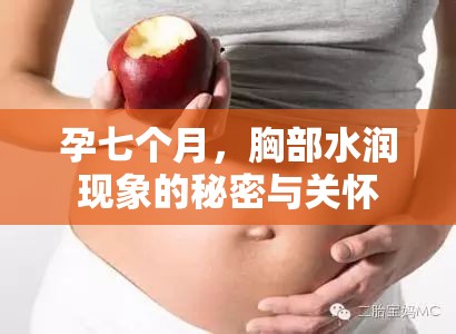 孕七個月，胸部水潤現(xiàn)象的秘密與關(guān)懷
