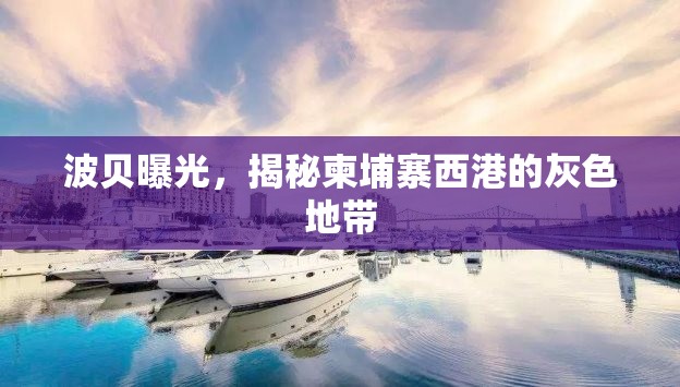 波貝曝光，揭秘柬埔寨西港的灰色地帶