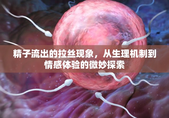精子流出的拉絲現(xiàn)象，從生理機(jī)制到情感體驗的微妙探索