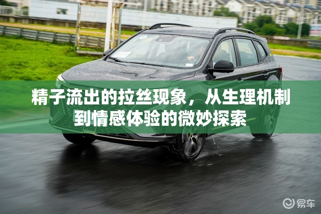 精子流出的拉絲現(xiàn)象，從生理機(jī)制到情感體驗的微妙探索