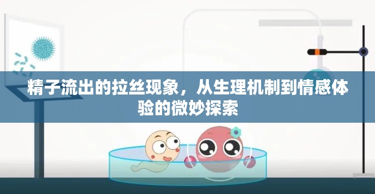 精子流出的拉絲現(xiàn)象，從生理機(jī)制到情感體驗的微妙探索
