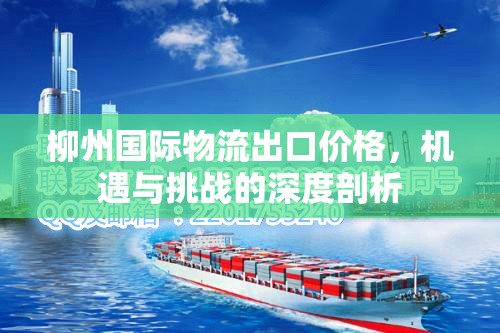 柳州國際物流出口價(jià)格，機(jī)遇與挑戰(zhàn)的深度剖析
