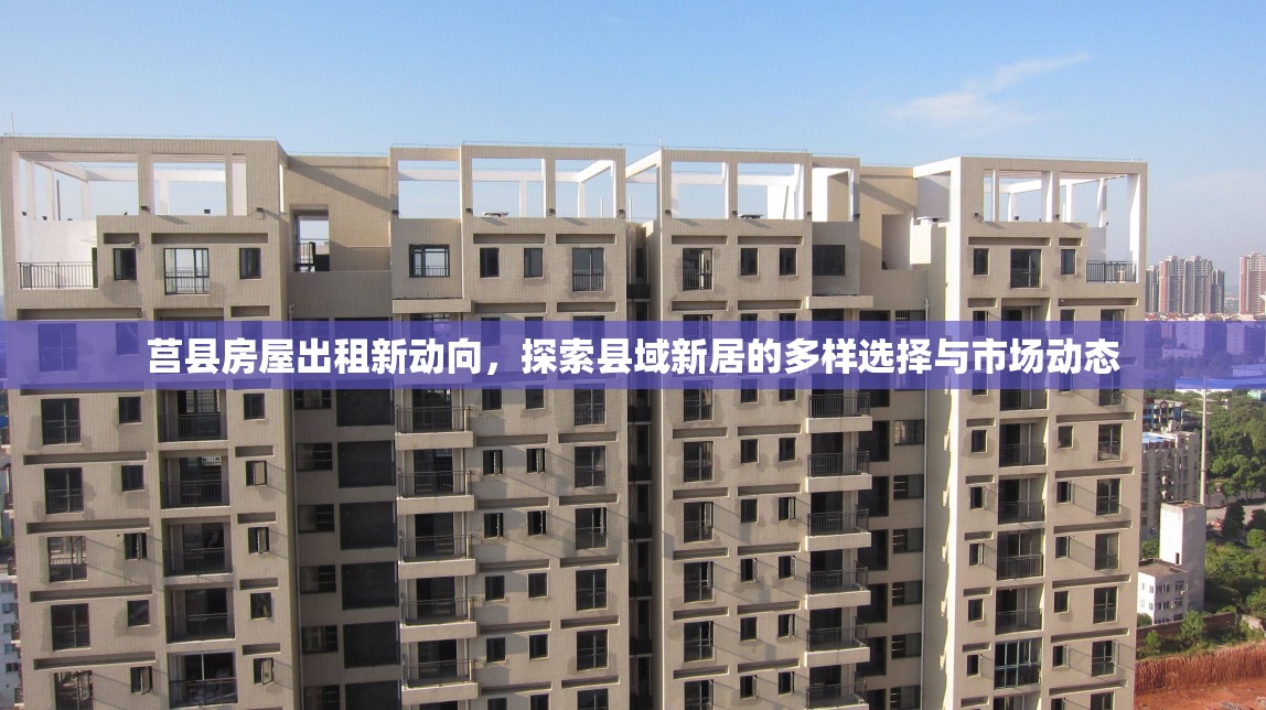 莒縣房屋出租新動向，探索縣域新居的多樣選擇與市場動態(tài)