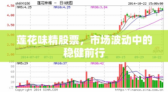 蓮花味精股票，市場波動中的穩(wěn)健前行