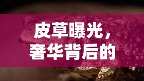 皮草曝光，奢華背后的殘酷真相