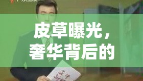 皮草曝光，奢華背后的殘酷真相