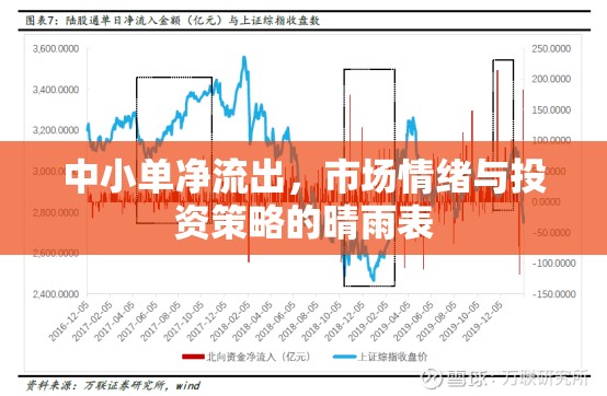 中小單凈流出，市場情緒與投資策略的晴雨表