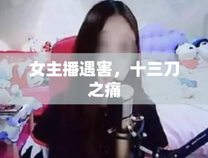 女主播遇害，十三刀之痛