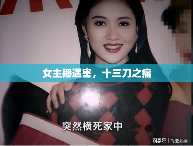 女主播遇害，十三刀之痛