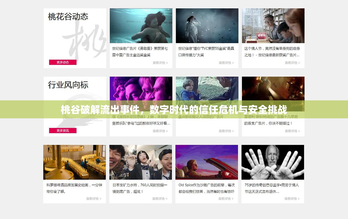 桃谷破解流出事件，數(shù)字時(shí)代的信任危機(jī)與安全挑戰(zhàn)