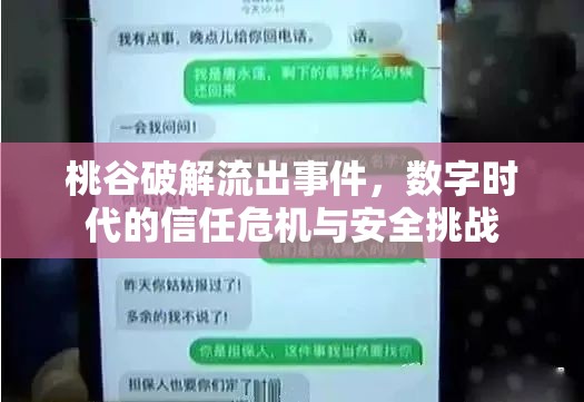 桃谷破解流出事件，數(shù)字時(shí)代的信任危機(jī)與安全挑戰(zhàn)