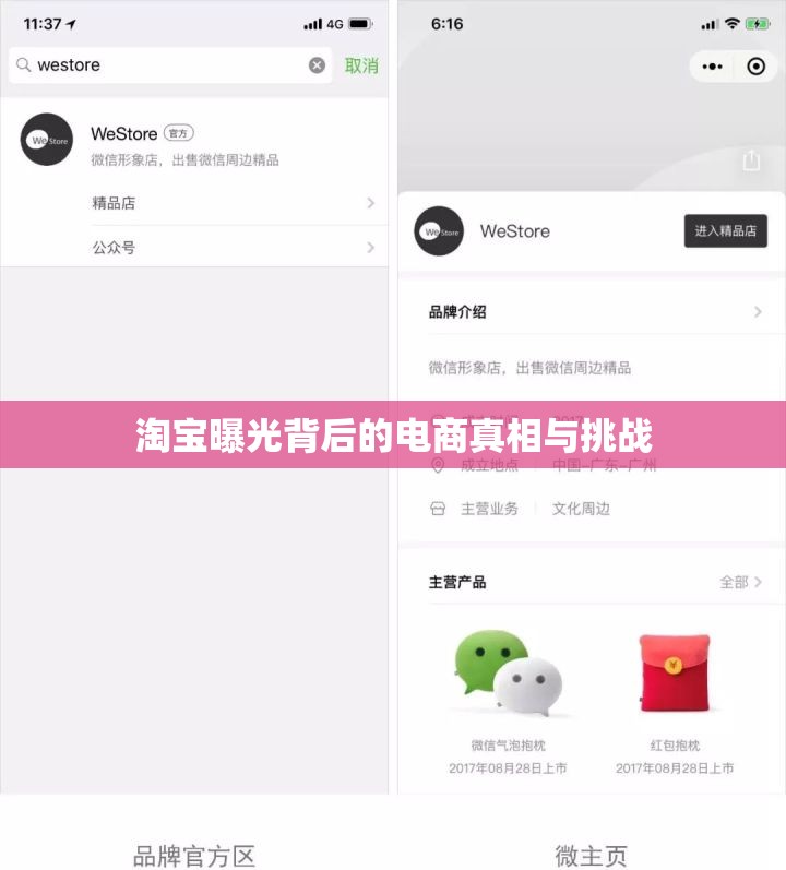 淘寶曝光背后的電商真相與挑戰(zhàn)