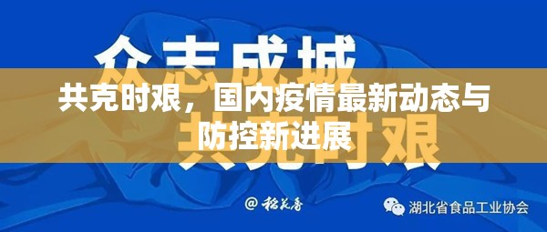 共克時(shí)艱，國(guó)內(nèi)疫情最新動(dòng)態(tài)與防控新進(jìn)展