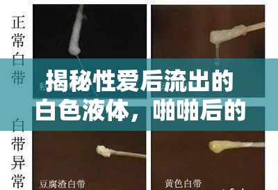 揭秘性愛后流出的白色液體，啪啪后的白色秘密