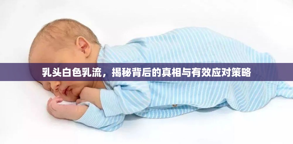 乳頭白色乳流，揭秘背后的真相與有效應對策略