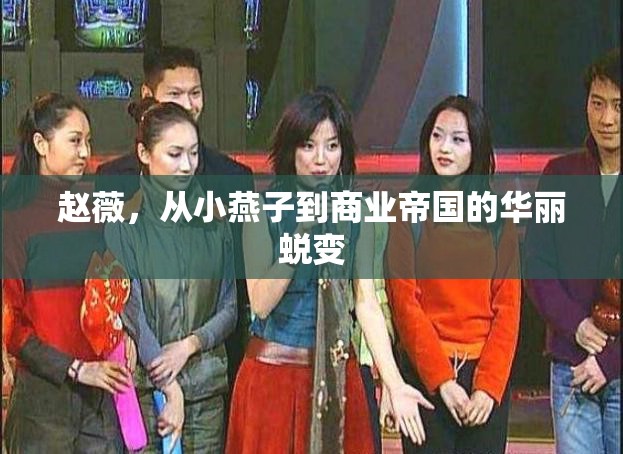 趙薇，從小燕子到商業(yè)帝國的華麗蛻變