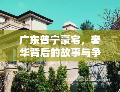 廣東普寧豪宅，奢華背后的故事與爭議