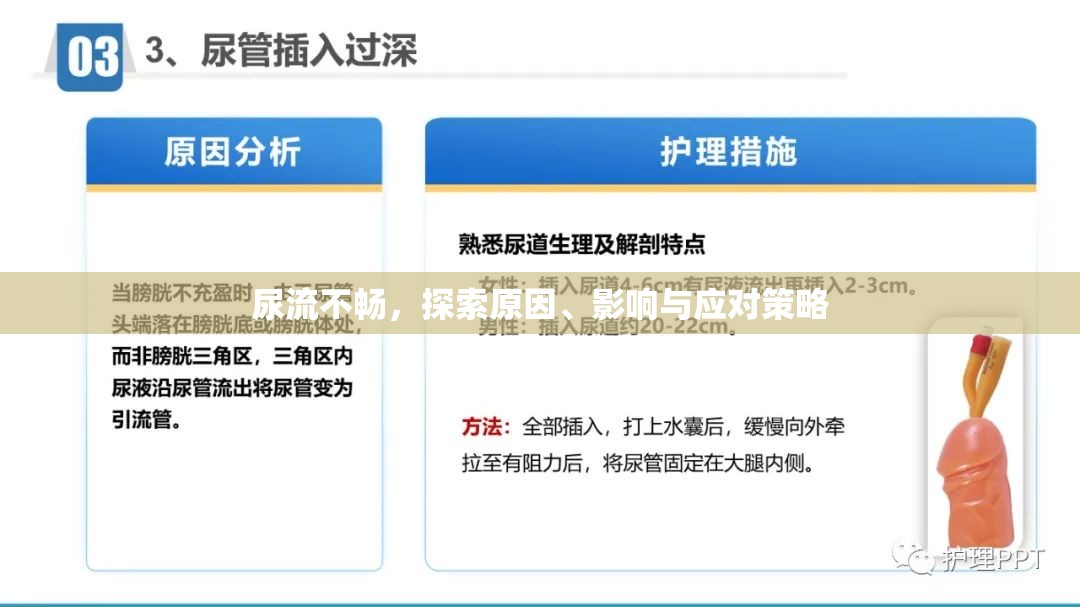 尿流不暢，探索原因、影響與應對策略