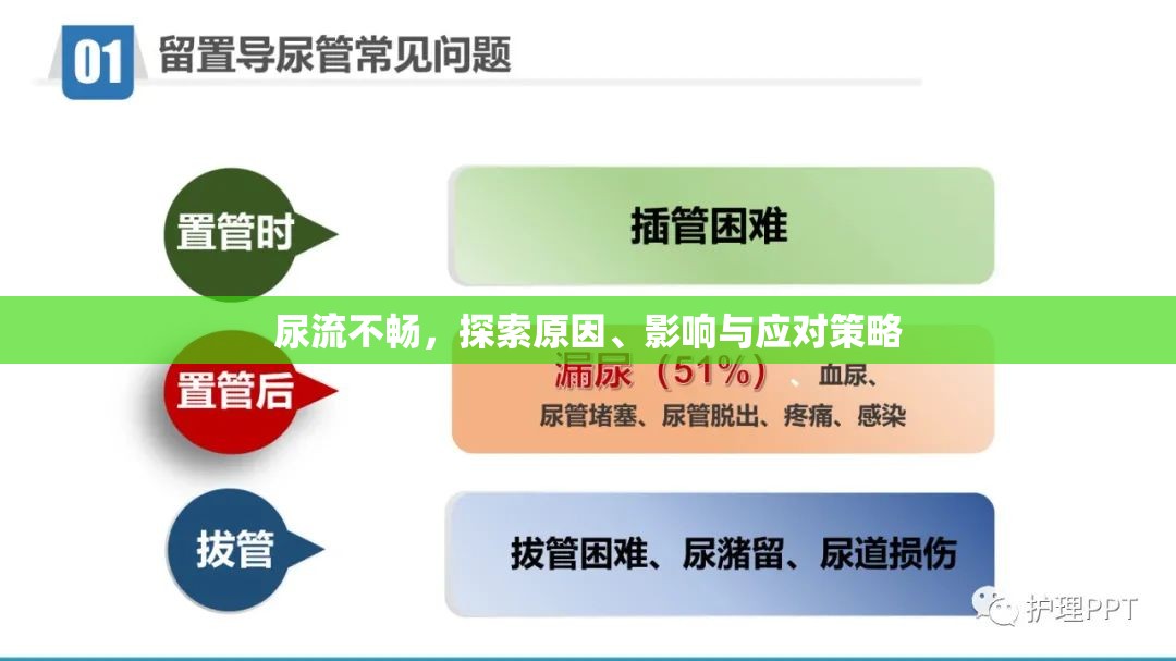 尿流不暢，探索原因、影響與應對策略