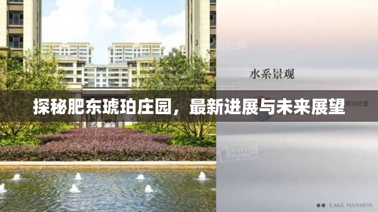 探秘肥東琥珀莊園，最新進展與未來展望