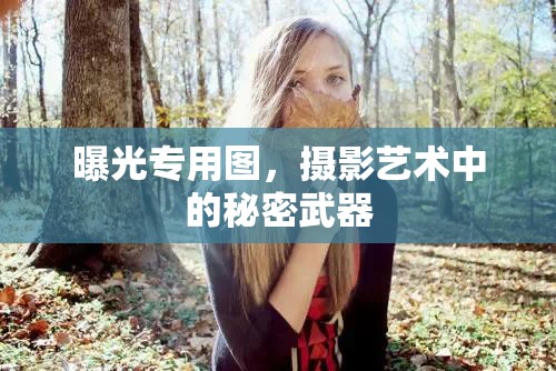 曝光專用圖，攝影藝術(shù)中的秘密武器