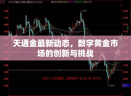 天通金最新動(dòng)態(tài)，數(shù)字黃金市場(chǎng)的創(chuàng)新與挑戰(zhàn)