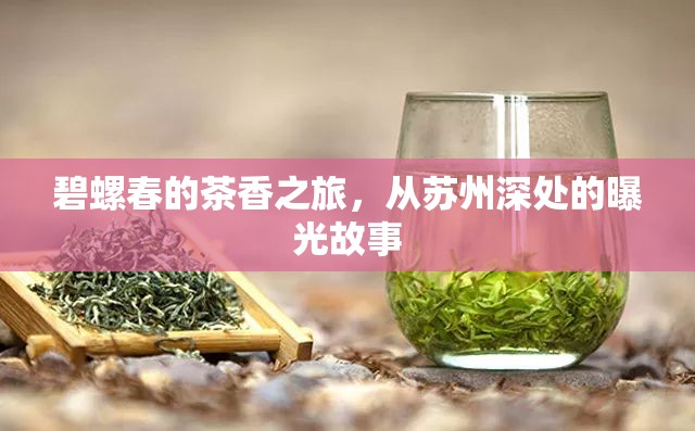 碧螺春的茶香之旅，從蘇州深處的曝光故事