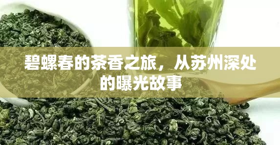 碧螺春的茶香之旅，從蘇州深處的曝光故事
