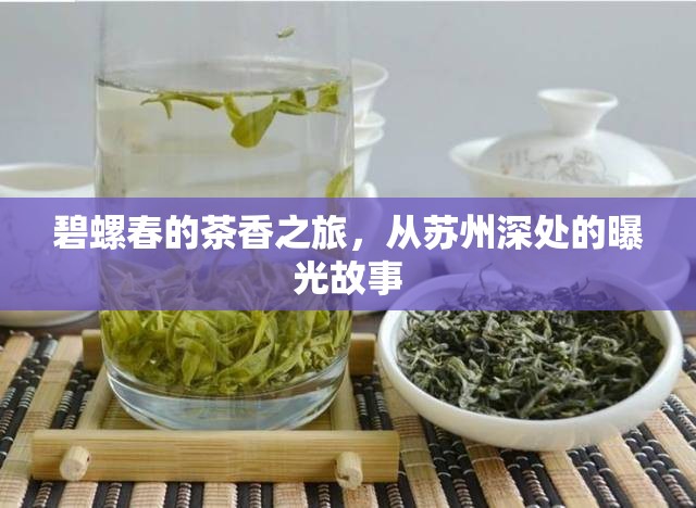碧螺春的茶香之旅，從蘇州深處的曝光故事