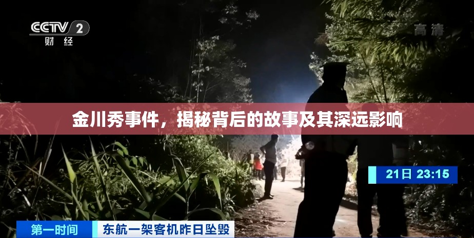 金川秀事件，揭秘背后的故事及其深遠影響