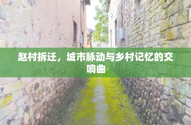 趙村拆遷，城市脈動與鄉(xiāng)村記憶的交響曲