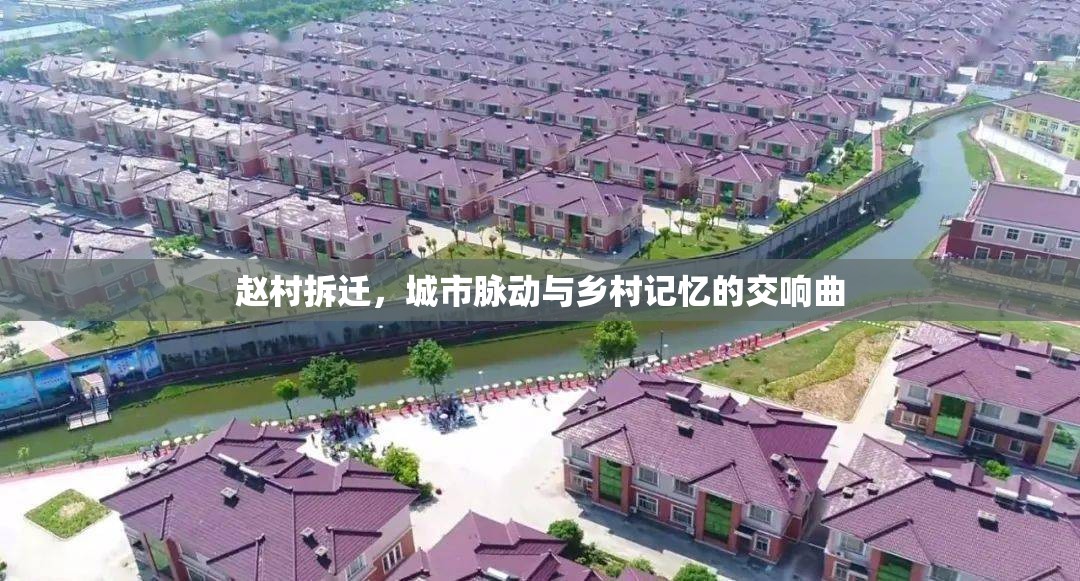 趙村拆遷，城市脈動與鄉(xiāng)村記憶的交響曲